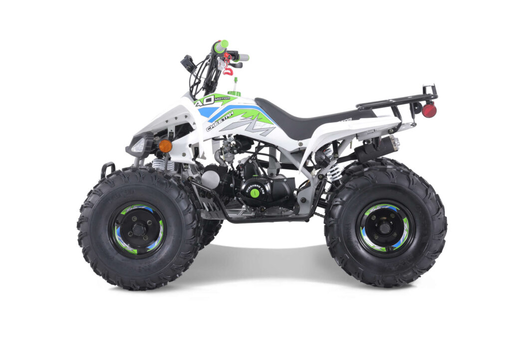 TAOMotors_CHEETAH_driverside_white_silver