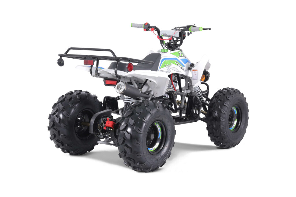 TAOMotors_CHEETAH_rear_pass_3Qwhite_gray